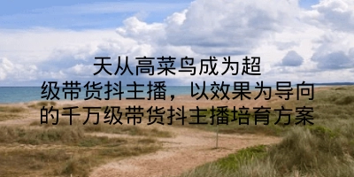 天从高菜鸟成为超级带货抖主播，以效果为导向的千万级带货抖主播培育方案