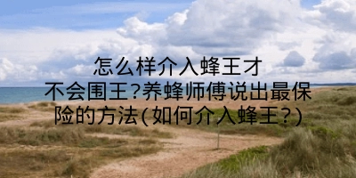 怎么样介入蜂王才不会围王?养蜂师傅说出最保险的方法(如何介入蜂王?)