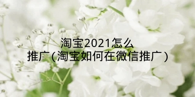 淘宝2021怎么推广(淘宝如何在微信推广)