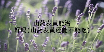 山药发黄能治好吗(山药发黄还能不能吃)