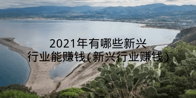 2021年有哪些新兴行业能赚钱(新兴行业赚钱)