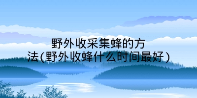 野外收采集蜂的方法(野外收蜂什么时间最好)