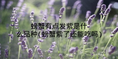 螃蟹有点发紫是什么品种(螃蟹紫了还能吃吗)