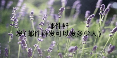 邮件群发(邮件群发可以发多少人)