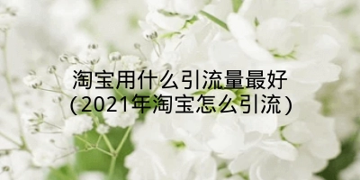 淘宝用什么引流量最好(2021年淘宝怎么引流)