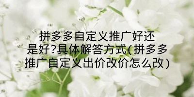 拼多多自定义推广好还是好?具体解答方式(拼多多推广自定义出价改价怎么改)