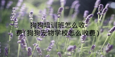 狗狗培训班怎么收费(狗狗宠物学校怎么收费)