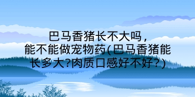 巴马香猪长不大吗,能不能做宠物药(巴马香猪能长多大?肉质口感好不好?)