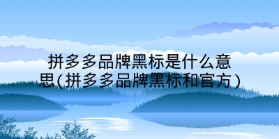 拼多多品牌黑标是什么意思(拼多多品牌黑标和官方)