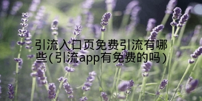 引流入口页免费引流有哪些(引流app有免费的吗)