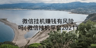 微信挂机赚钱有风险吗(微信挂机平台2021)