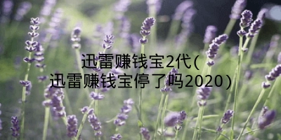 迅雷赚钱宝2代(迅雷赚钱宝停了吗2020)