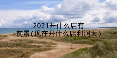 2021开什么店有前景(现在开什么店利润大)