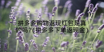 拼多多购物返现红包是真的吗?(拼多多下单返现金)