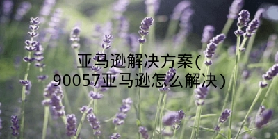 亚马逊解决方案(90057亚马逊怎么解决)