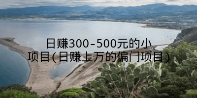 日赚300-500元的小项目(日赚上万的偏门项目)