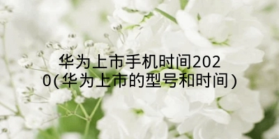 华为上市手机时间2020(华为上市的型号和时间)