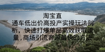 淘宝直通车低出价高投产实操玩法剖析，快速打爆单品高效获取流量,商场引流客源最快的方法