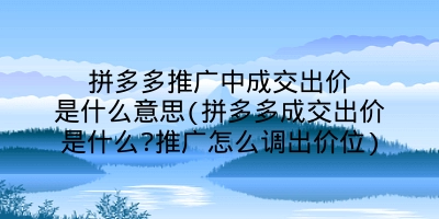 拼多多推广中成交出价是什么意思(拼多多成交出价是什么?推广怎么调出价位)