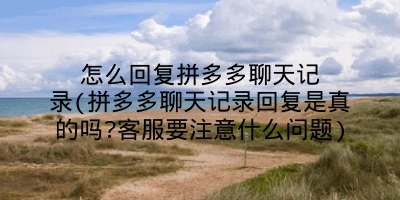 怎么回复拼多多聊天记录(拼多多聊天记录回复是真的吗?客服要注意什么问题)