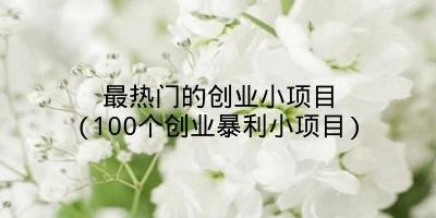 最热门的创业小项目(100个创业暴利小项目)