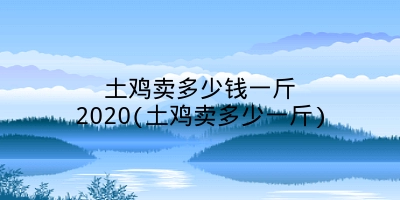 土鸡卖多少钱一斤2020(土鸡卖多少一斤)