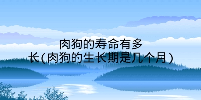 肉狗的寿命有多长(肉狗的生长期是几个月)