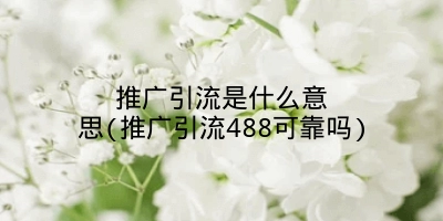 推广引流是什么意思(推广引流488可靠吗)