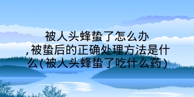 被人头蜂蛰了怎么办,被蛰后的正确处理方法是什么(被人头蜂蛰了吃什么药)