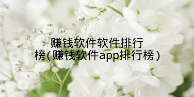 赚钱软件软件排行榜(赚钱软件app排行榜)