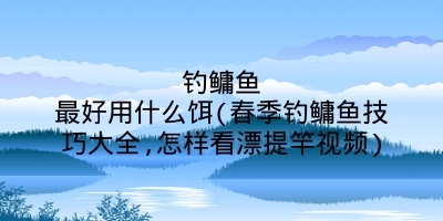 钓鳙鱼最好用什么饵(春季钓鳙鱼技巧大全,怎样看漂提竿视频)