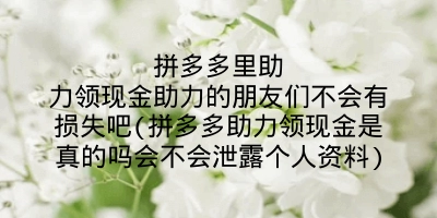 拼多多里助力领现金助力的朋友们不会有损失吧(拼多多助力领现金是真的吗会不会泄露个人资料)