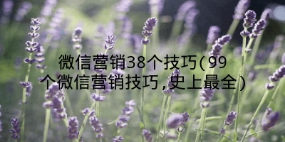 微信营销38个技巧(99个微信营销技巧,史上最全)