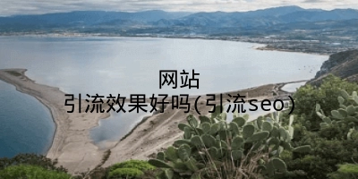 网站引流效果好吗(引流seo)