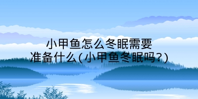 小甲鱼怎么冬眠需要准备什么(小甲鱼冬眠吗?)