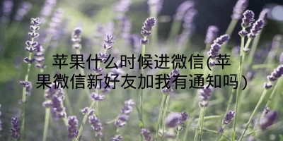 苹果什么时候进微信(苹果微信新好友加我有通知吗)