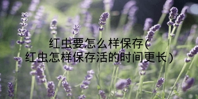 红虫要怎么样保存(红虫怎样保存活的时间更长)