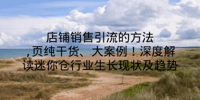 店铺销售引流的方法,页纯干货、大案例！深度解读迷你仓行业生长现状及趋势