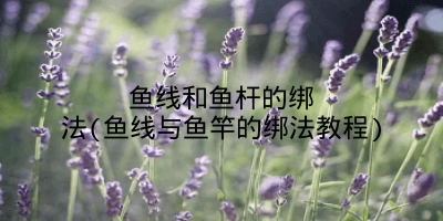 鱼线和鱼杆的绑法(鱼线与鱼竿的绑法教程)