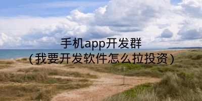 手机app开发群(我要开发软件怎么拉投资)