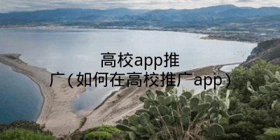 高校app推广(如何在高校推广app)