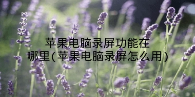 苹果电脑录屏功能在哪里(苹果电脑录屏怎么用)