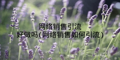 网络销售引流好做吗(网络销售如何引流)