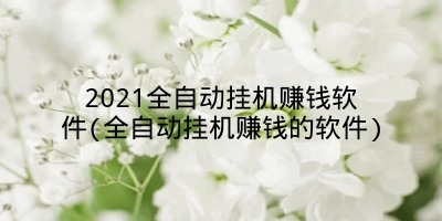 2021全自动挂机赚钱软件(全自动挂机赚钱的软件)