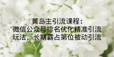 黄岛主引流课程：微信公众号排名优化精准引流玩法，长期霸占第位被动引流