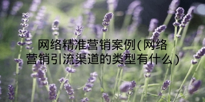 网络精准营销案例(网络营销引流渠道的类型有什么)