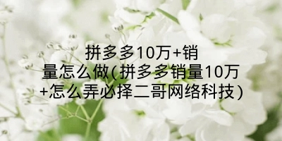 拼多多10万+销量怎么做(拼多多销量10万+怎么弄必择二哥网络科技)