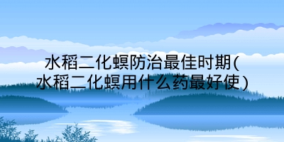 水稻二化螟防治最佳时期(水稻二化螟用什么药最好使)