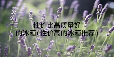 性价比高质量好的冰箱(性价高的冰箱推荐)