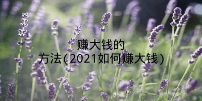 赚大钱的方法(2021如何赚大钱)